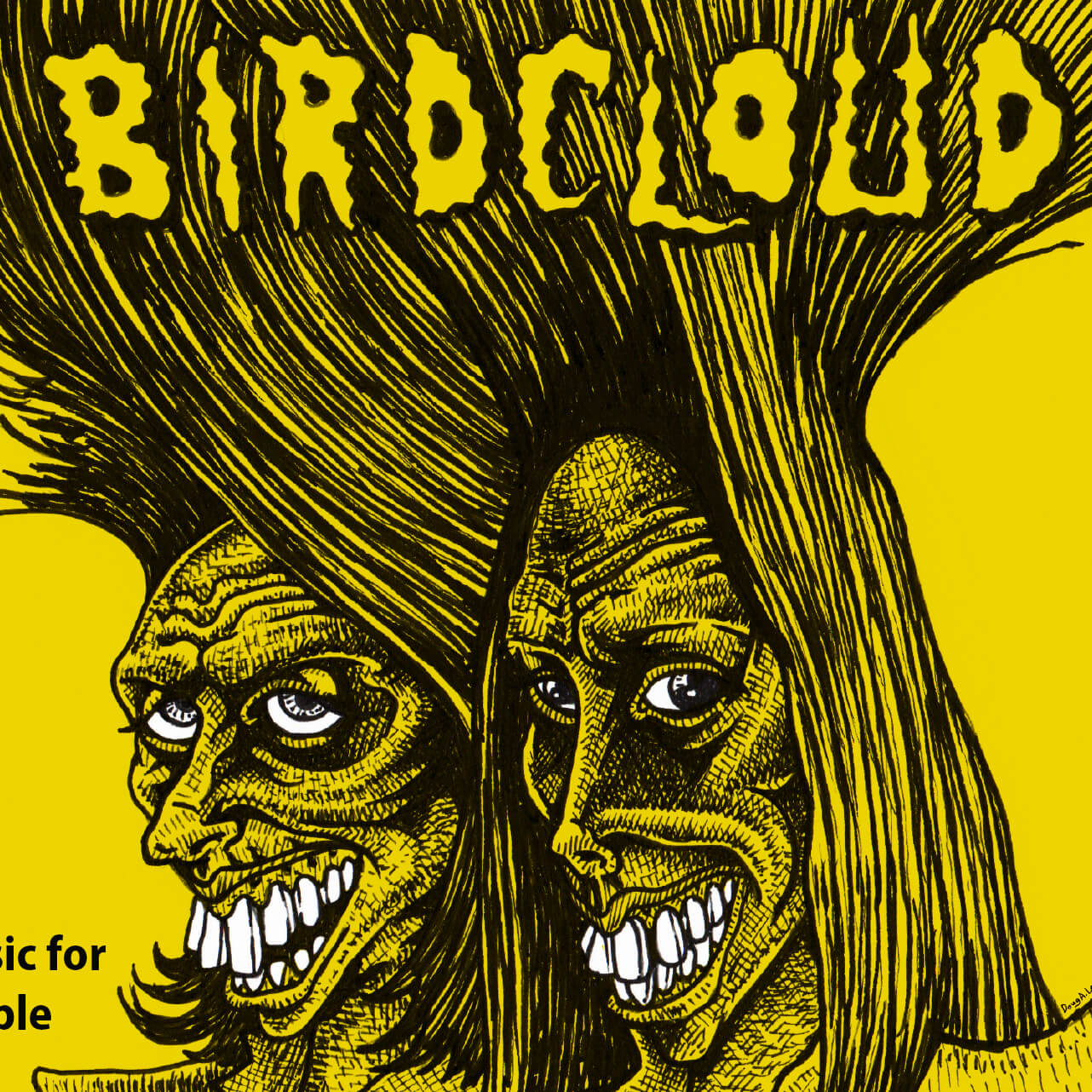 Tee Shirt Illustration for Nashville band Birdcloud USA